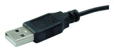 Conceptronic CLLM3BDESK mus Kontor Ambidextrous USB Type-A Optisk 800 dpi