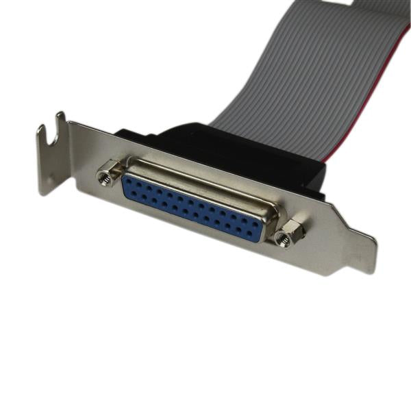 StarTech.com DB25 (F) - IDC26 DB-25 25 pin D-Sub IDC 26 pin Motherboard Header Grå