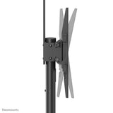 Neomounts PLASMA-M1900E multimedie vogn & stand Sort