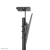 Neomounts PLASMA-M1700E multimedie vogn & stand Sort Transportabelt gulvstativ