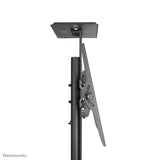 Neomounts PLASMA-M1700E multimedie vogn & stand Sort Transportabelt gulvstativ