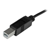 StarTech.com USB2CB2M USB-kabel USB 2.0 2 m USB C USB B Sort