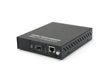 LevelOne FVM-1000 netværksomformer til medie 100 Mbit/s Sort
