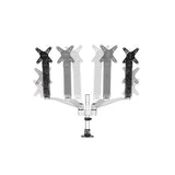 StarTech.com ARMDUAL30 skærmbeslag og -stativer 76,2 cm (30") Skrivebord Sort, Sølv
