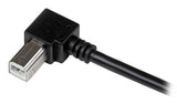 StarTech.com USBAB3MR USB-kabel USB 2.0 3 m USB A USB B Sort
