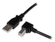StarTech.com USBAB3MR USB-kabel USB 2.0 3 m USB A USB B Sort