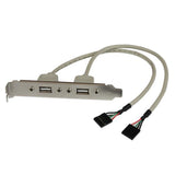 StarTech.com USBPLATE kabel kønsskifter 2 x IDC 2 x USB A Sølv