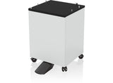 Epson 7112285 printerkabinet og -holder Sort, Hvid