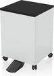Epson 7112285 printerkabinet og -holder Sort, Hvid