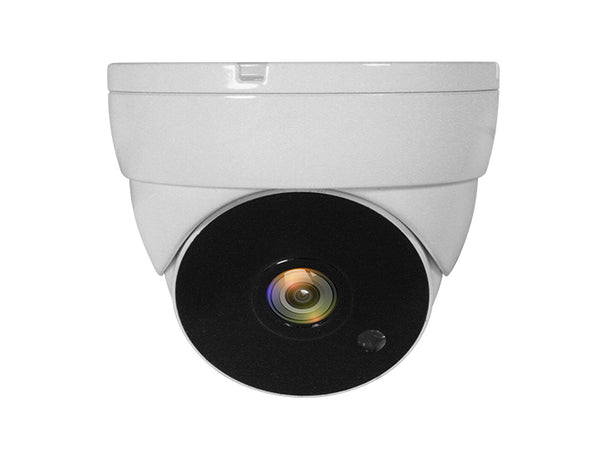 LevelOne ACS-5302 overvågningskamera Kuppel CCTV sikkerhedskamera Indendørs & udendørs Loft