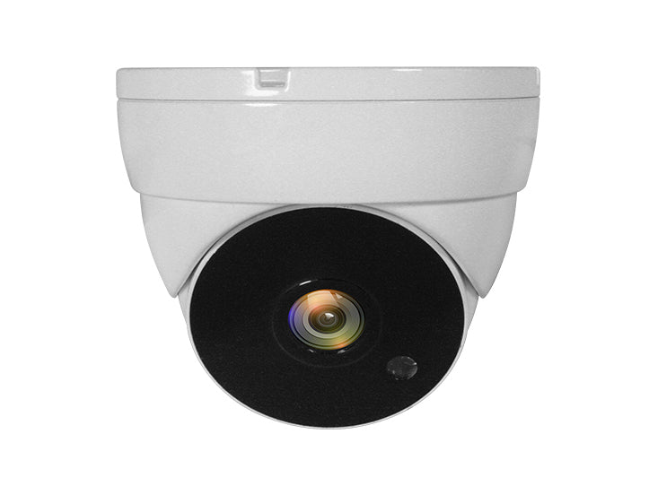 LevelOne ACS-5302 overvågningskamera Kuppel CCTV sikkerhedskamera Indendørs & udendørs Loft