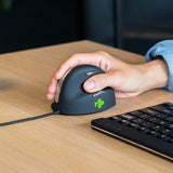 R-Go Tools RGOHE mus Kontor Højre hånd USB Type-A Optisk 2400 dpi