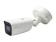LevelOne FCS-5212 overvågningskamera Kugle (form) IP-sikkerhedskamera Indendørs & udendørs 3200 x 1800 pixel Gulv/væg